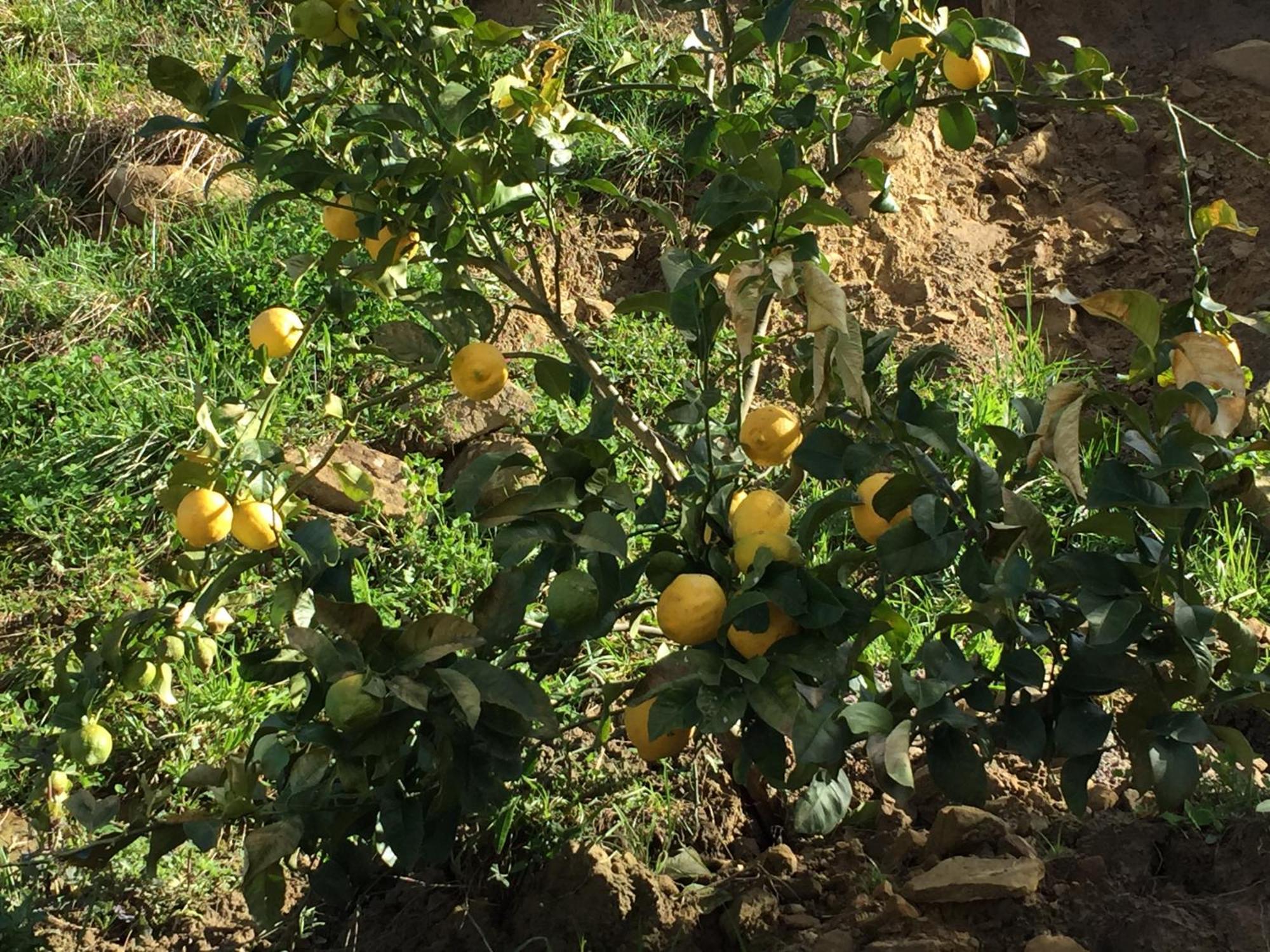 אוריו Agroturismo Itxaspe מראה חיצוני תמונה